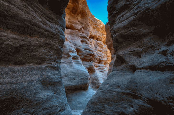 کال جنی طبس